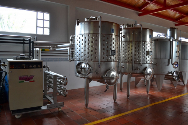 cave-TOURRETTES SUR LOUP-min_wine_production_cantine_winery_drink_alcohol_vine_beverage-902036